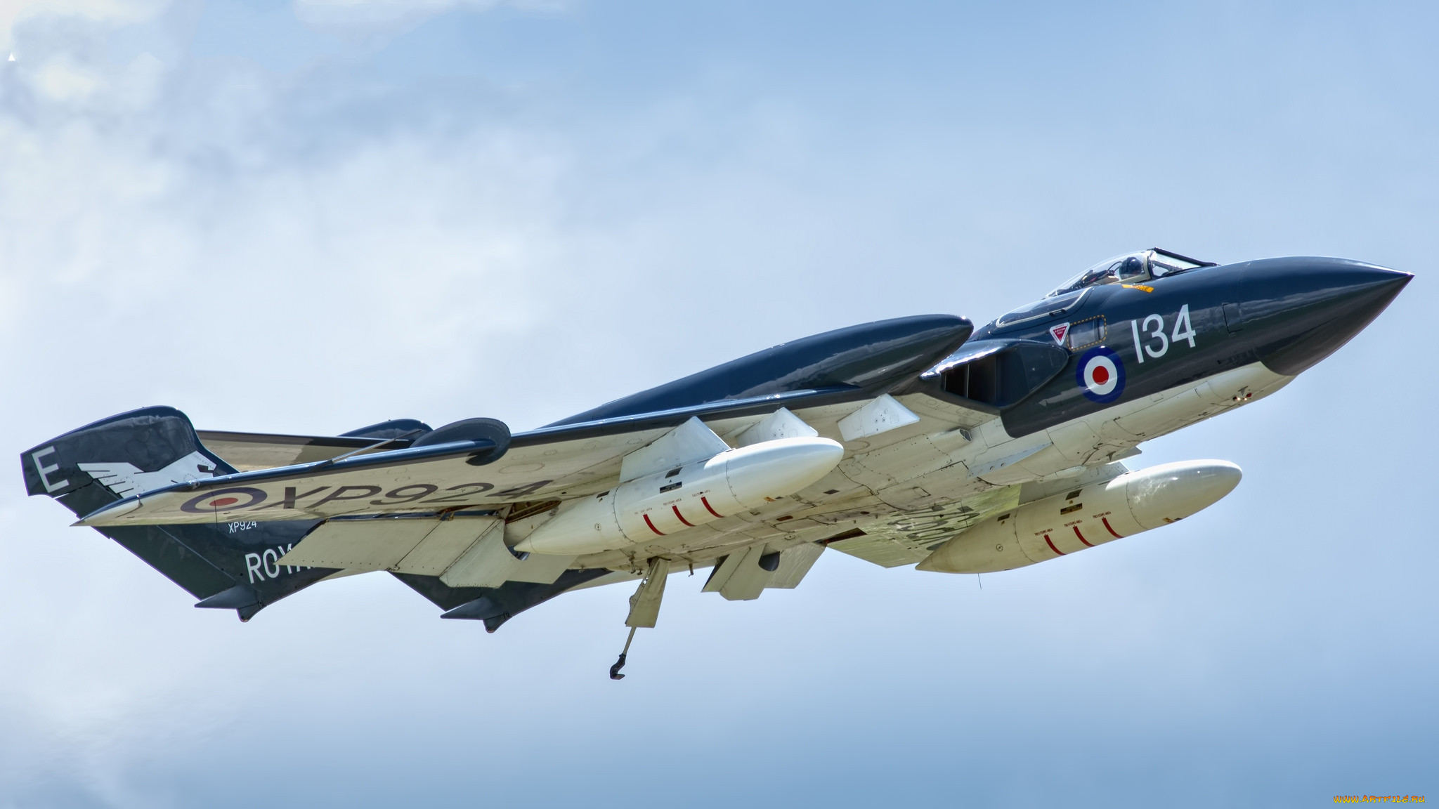 sea vixen, ,  , 